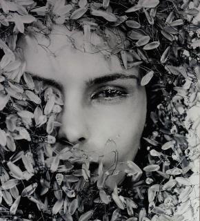 Carli Hermes - Christal