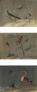 Carlo Antonio Raineri - Exotic Birds In Landscapes: A Set Of Three Paintings