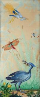 Carlo Antonio Raineri - Exotic birds, insects and other animals (a set of three)