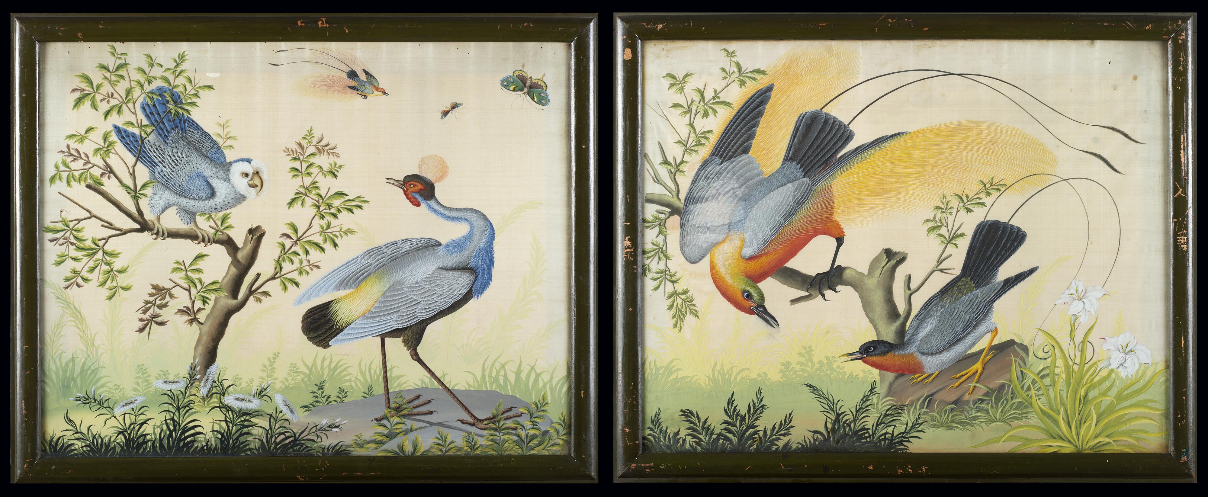 Carlo Antonio Raineri - Volatili esotici in un paesaggio