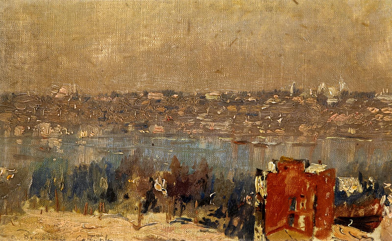 Carlo Brancaccio - Blick über den Bosporus auf Istanbul