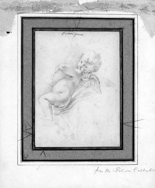 Carlo Cignani - A putto holding an urn