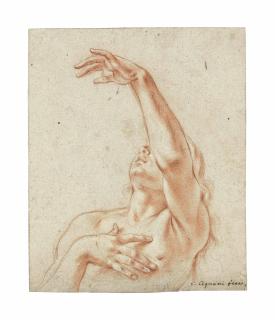 Carlo Cignani - Study Of A Woman, Bust-Length, With One Arm Raised