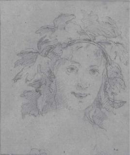 Carlo Cignani - Tête de Bacchus