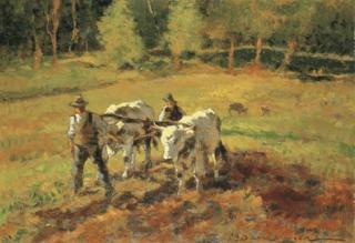 Carlo Domenici - Buoi all\'aratro