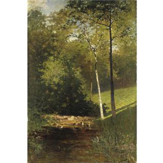 Carlo Follini - Lo Stagno Nel Bosco