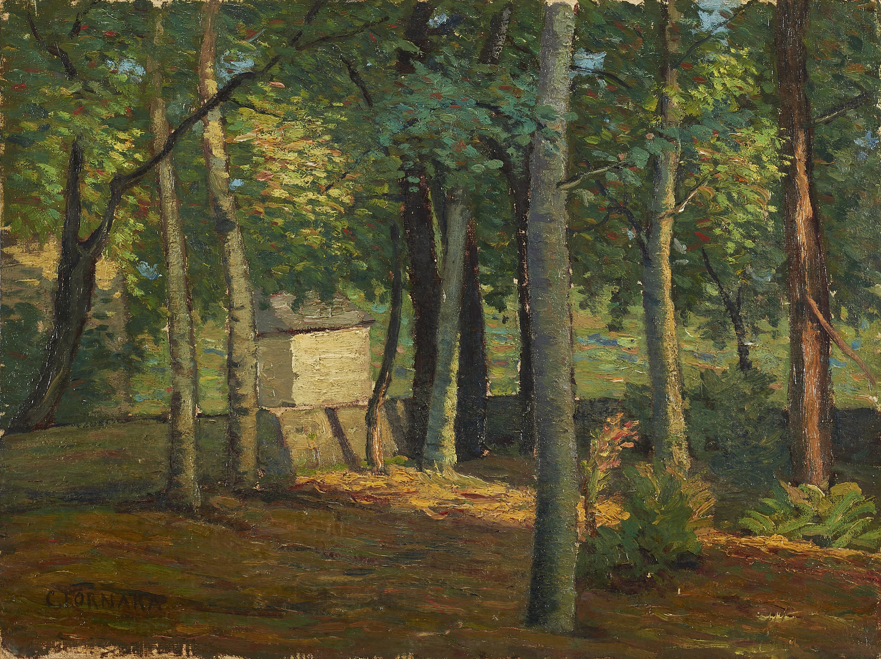 Carlo Fornara - L\'orto di casa - Prestinone