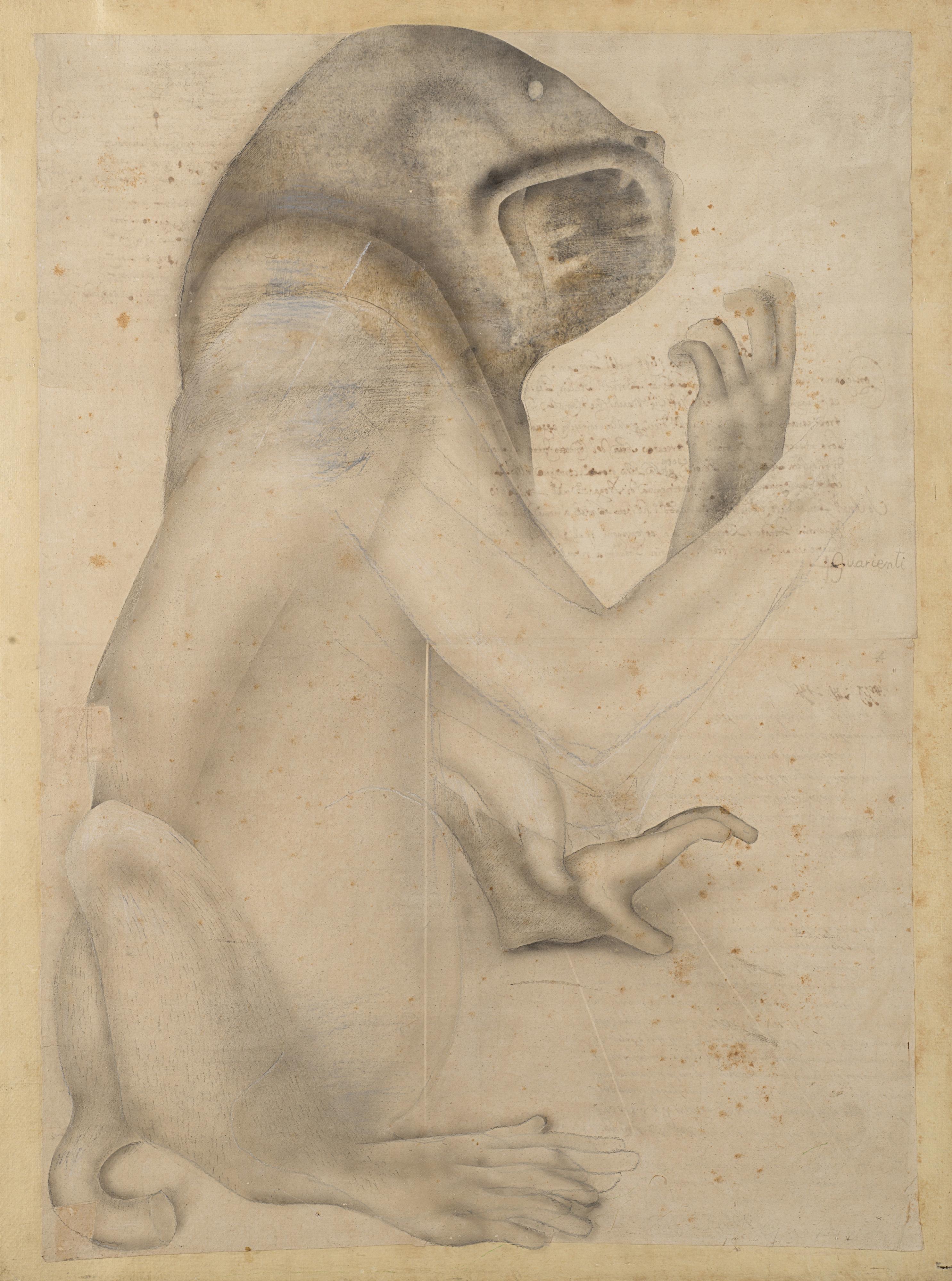 Carlo Guarienti - Senza titolo