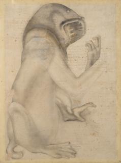 Carlo Guarienti - Senza titolo