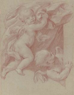 Carlo Maratta - Deux putti tenant une draperie