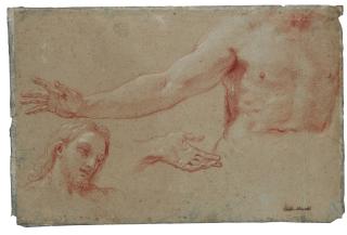 Carlo Maratta - Studies For A Figure Of Christ: Head, Torso And Hand