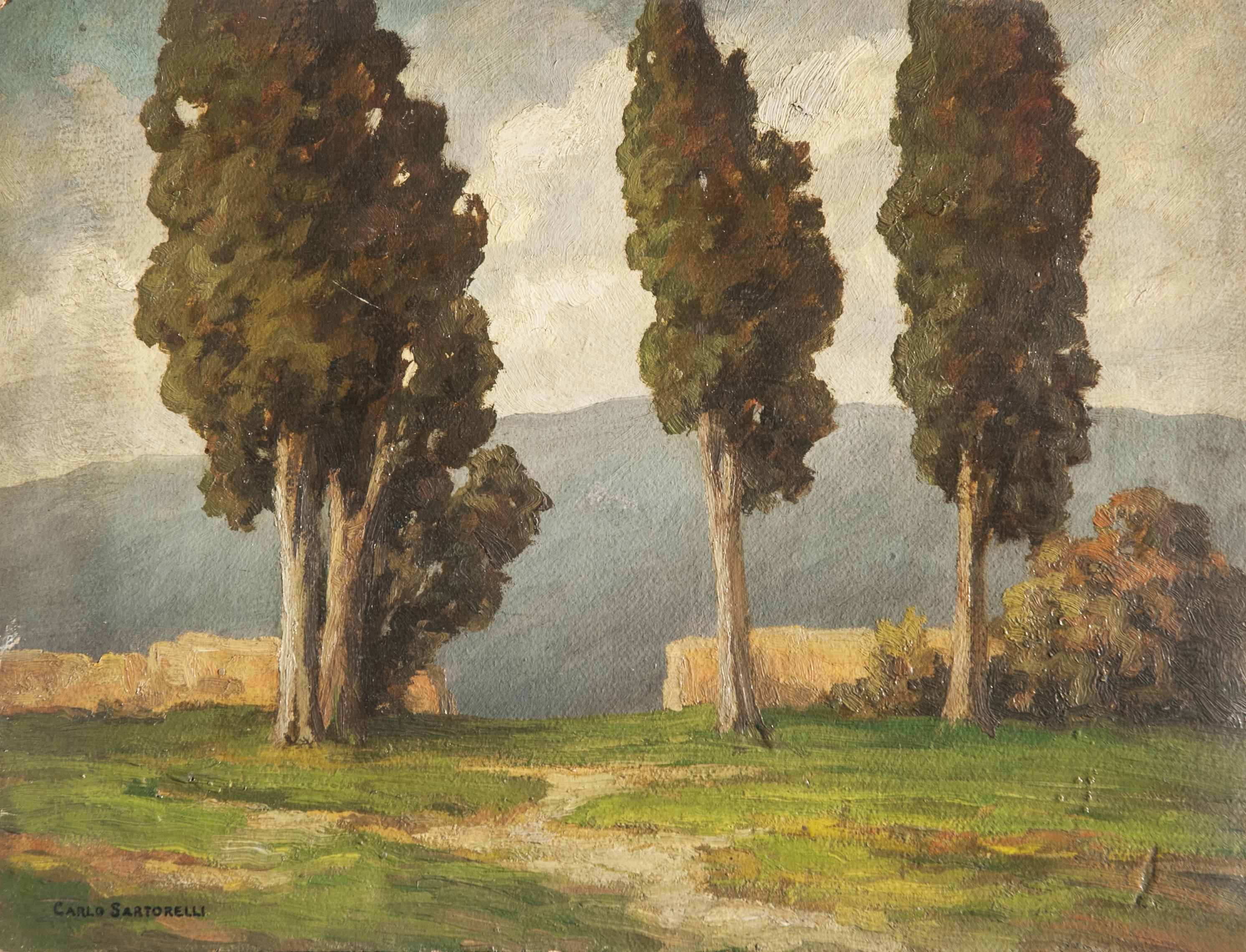 Carlo Sartorelli - Cupressus, Conegliano