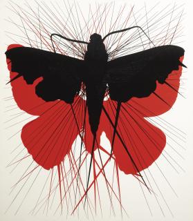 Carlos Amorales - The Horny Ghost