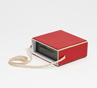 Carlos Cruz-Diez - Chromoscope.