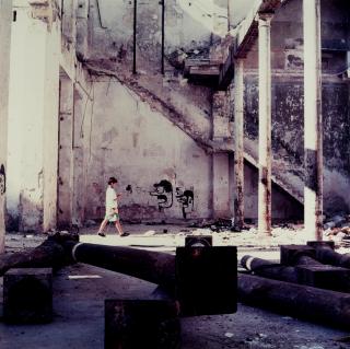 Carlos Garaicoa - Dos Cabezas (Graffiti con nino); and Jardin Cubano 2