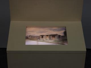 Carlos Garaicoa - Self-Flagellation, Survival, Insubordination, (P-45)