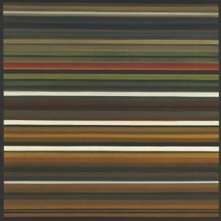 Carlos Rojas - Untitled (from the series Horizontes)