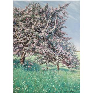 Carlos Schwabe - Swiss Apple Blossom