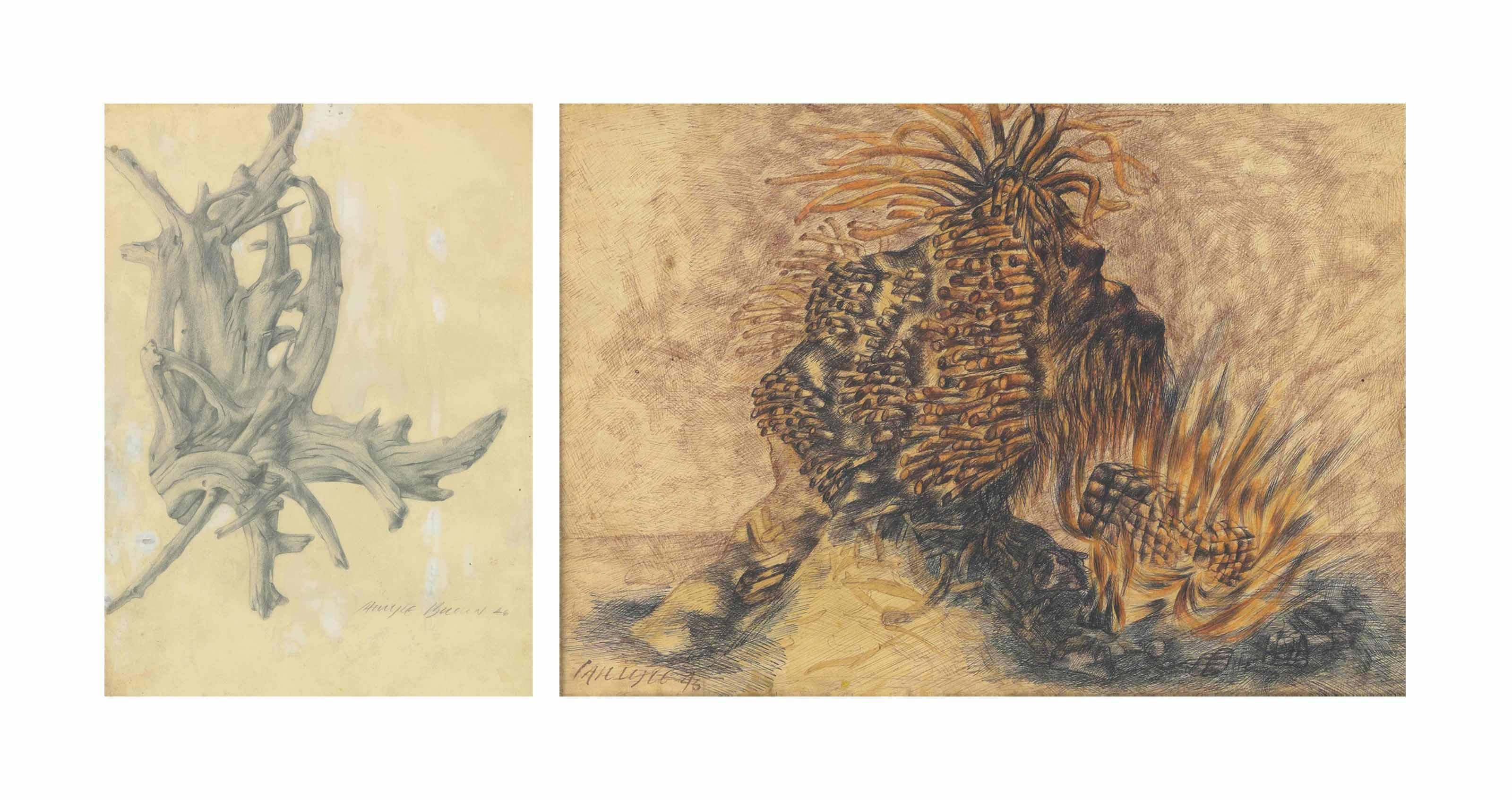 Carlyle Brown - Gnarled tree formation; and Medusa on the beach, Luzon