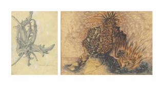 Carlyle Brown - Gnarled tree formation; and Medusa on the beach, Luzon