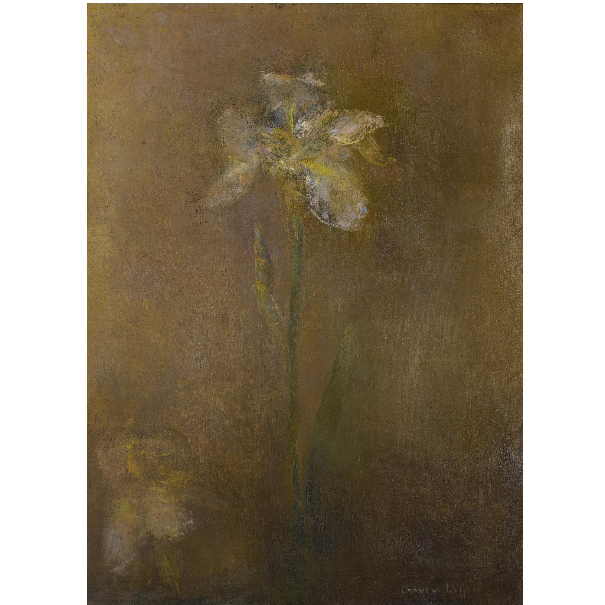 Carmen Laffon - Flowers