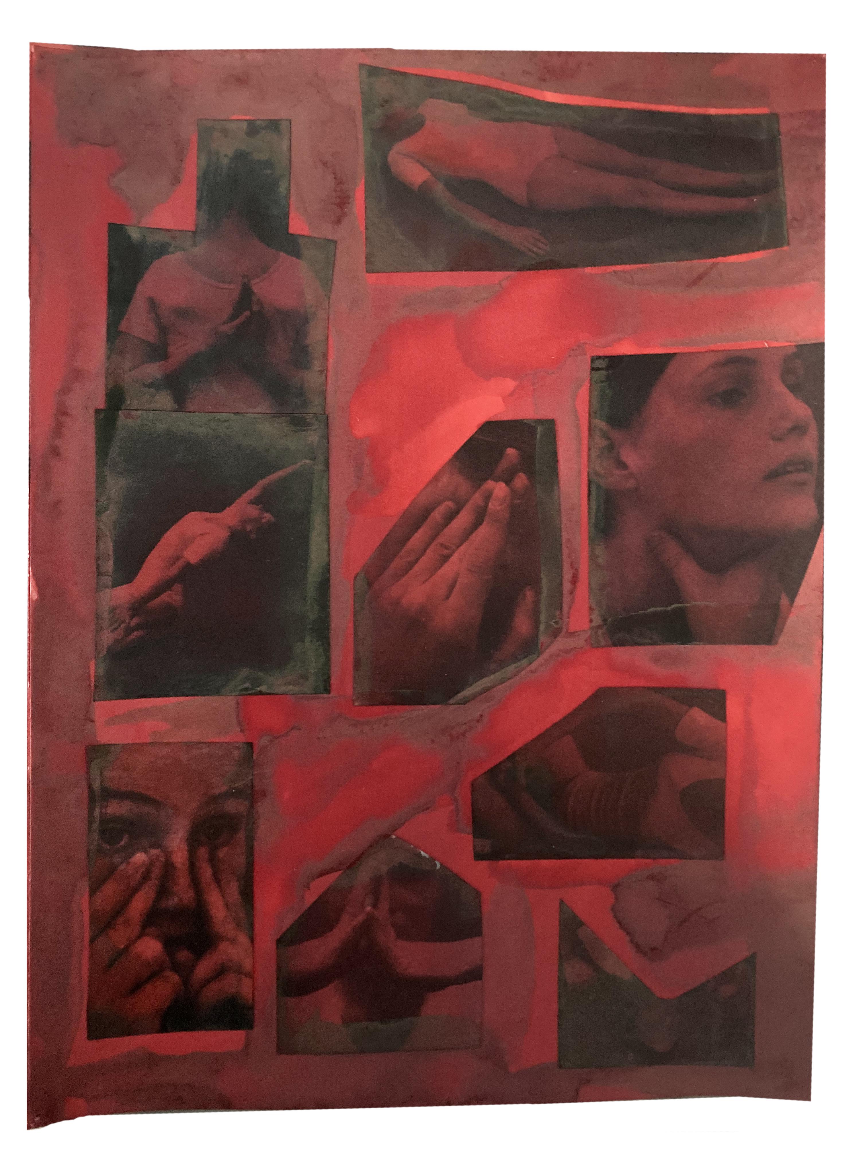 Carmen Winant - The Red Parts, 2016