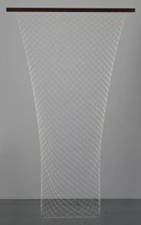 Carol Bove - Netting