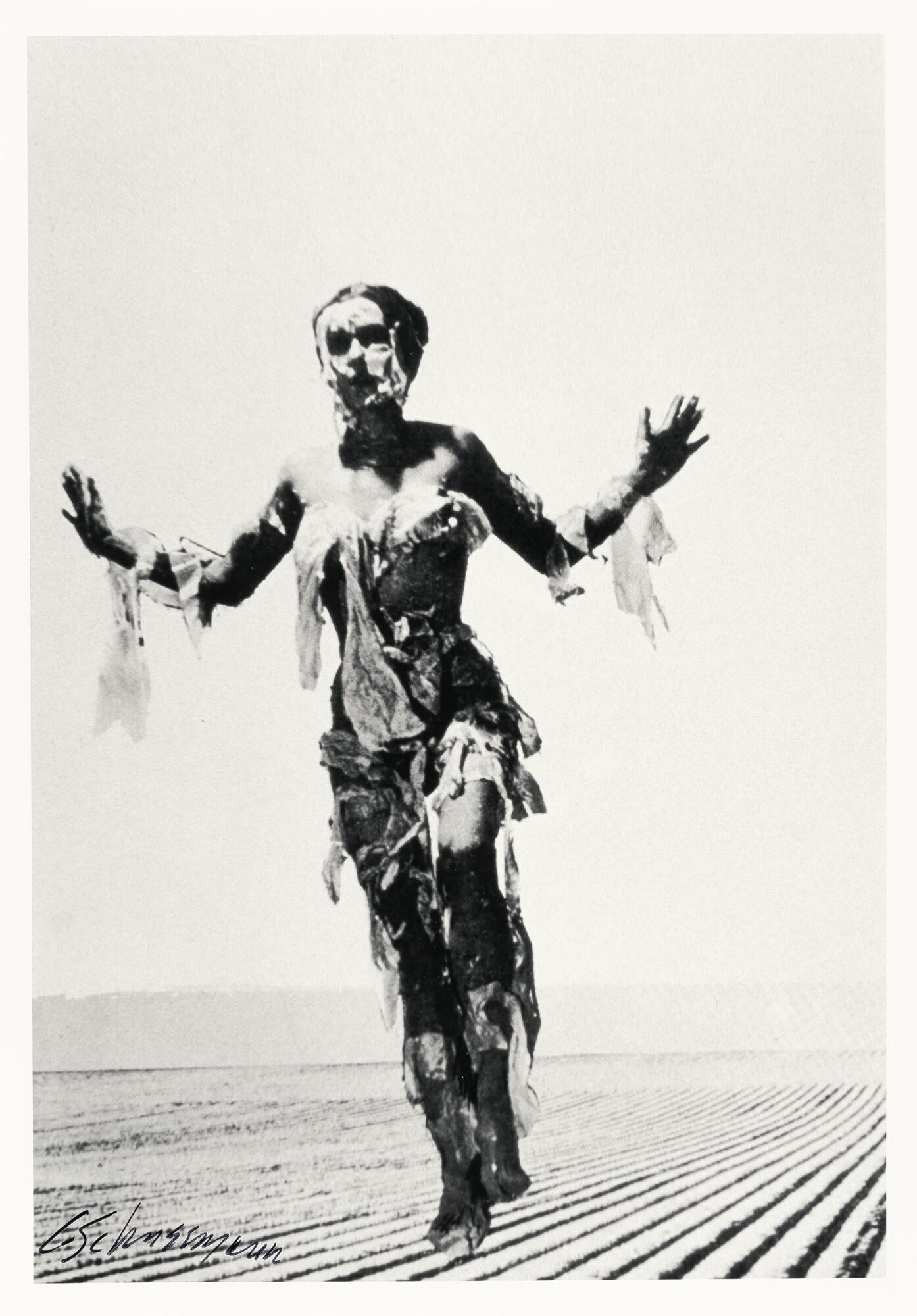 Carolee Schneemann - „Illinois Central“ (Kinetic Theater)