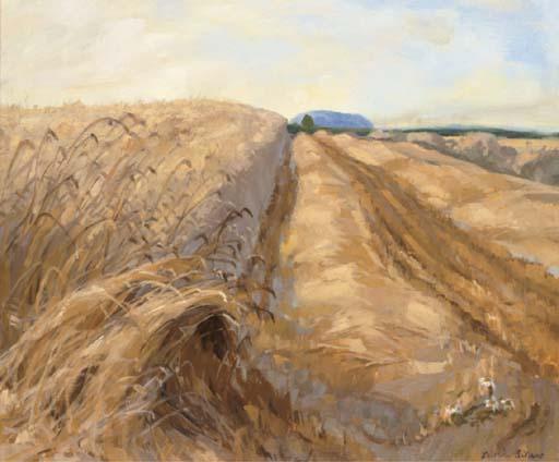 Caroline Sillars - Heatwave, Norfolk