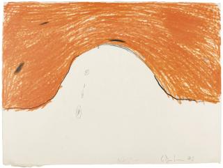 Caroll Dunham - Basic Set - Orange: Number One