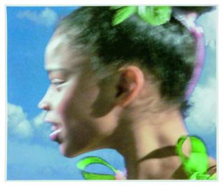 Carrie Mae Weems - Mayflowers Long Forgotten