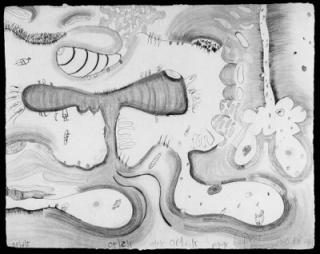 Carroll Dunham - At the Edge; and Shape Standing on Itself