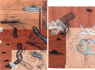 Carroll Dunham - Carroll Dunham (b. 1949)