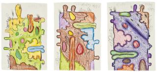Carroll Dunham - Untitled (8/10/93), Untitled (8/10/93, 8/11/93), Untitled (8/12/93, 8/13/93, 8/14/93)
