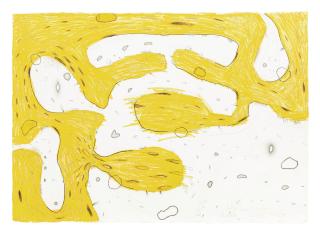 Carroll Dunham - Untitled