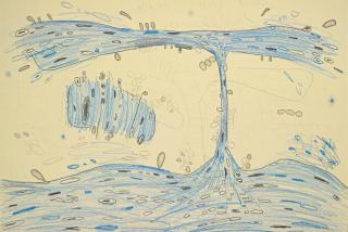 Carroll Dunham - Untitled