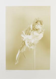 Carsten Höller - Canaries