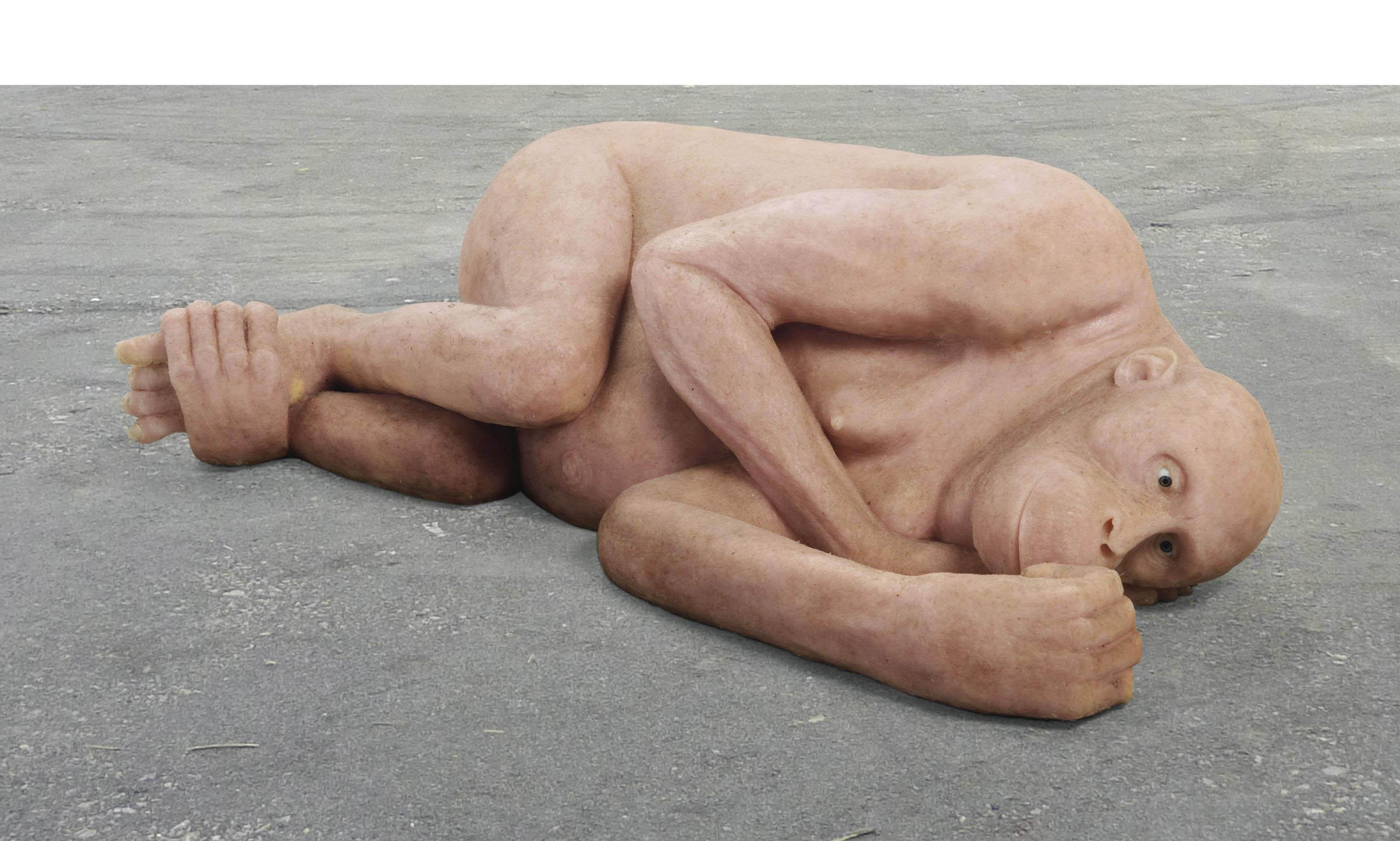 Carsten Höller - Orango Tango