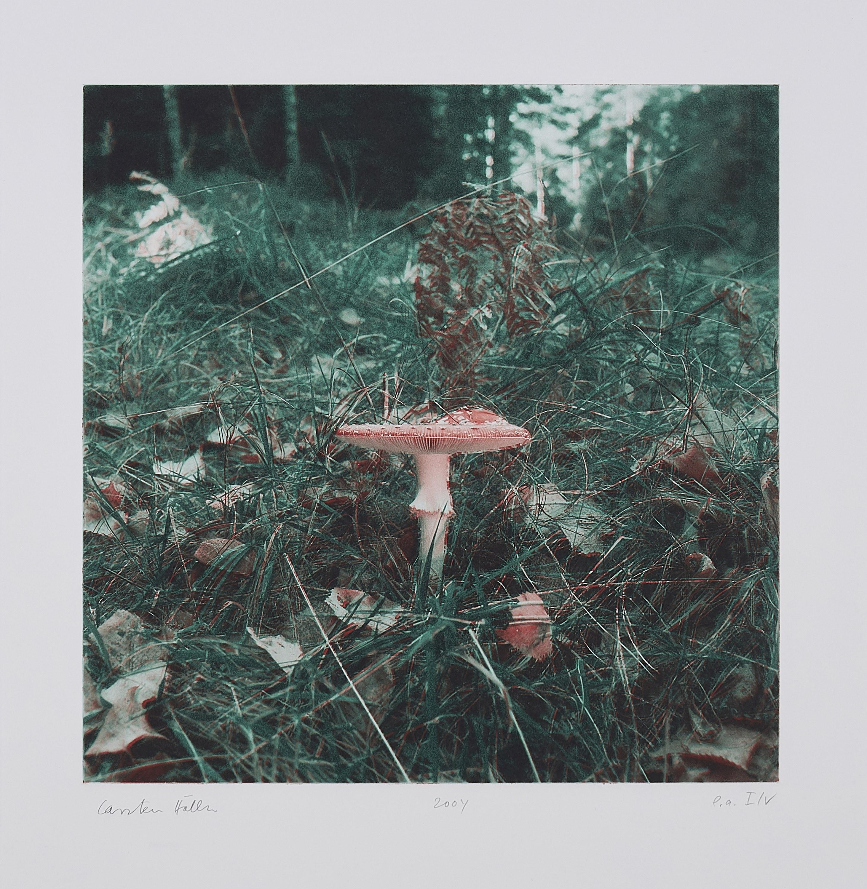 Carsten Höller - Pilze.