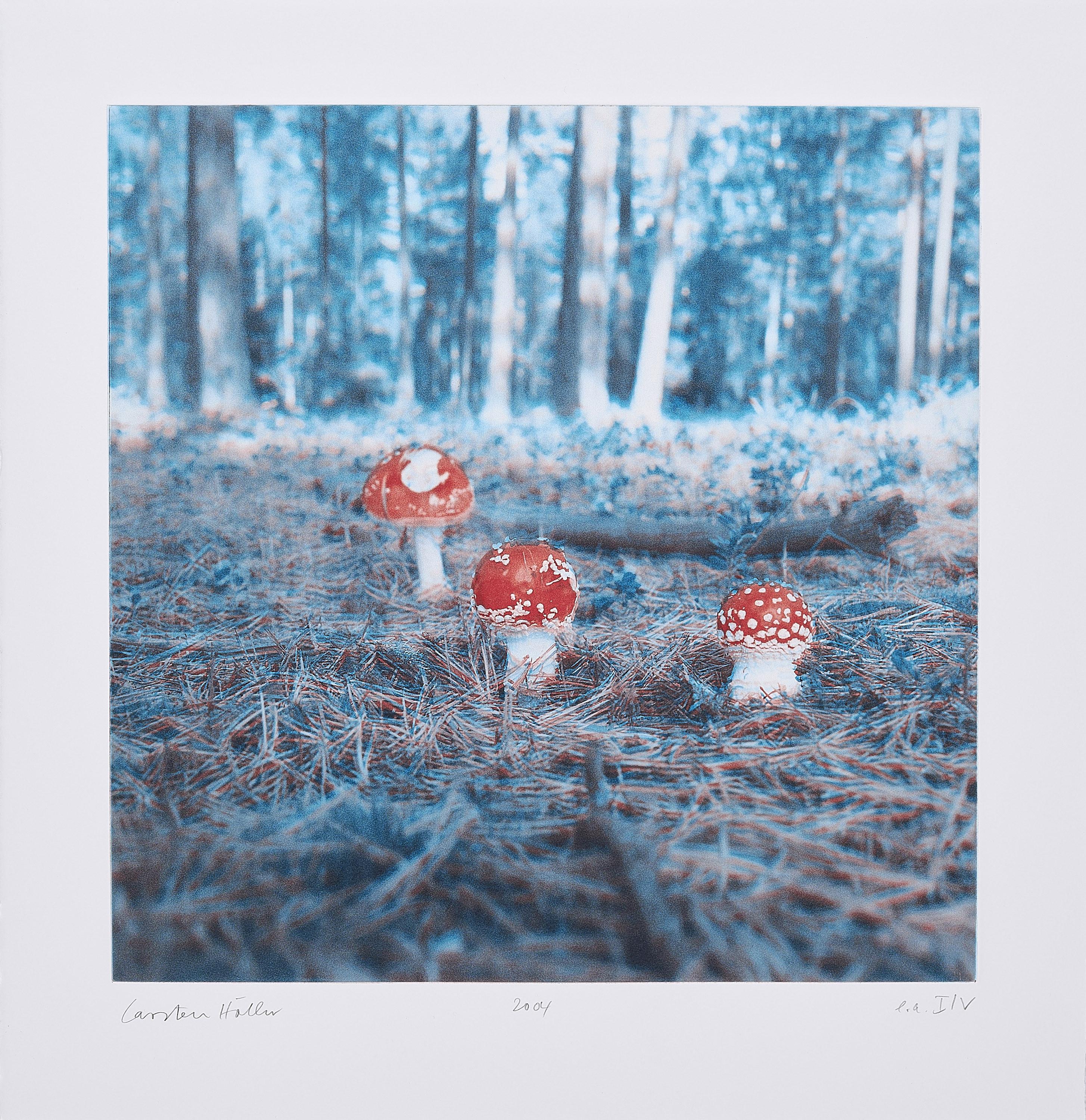 Carsten Höller - Pilze.