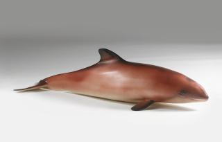 Carsten Höller - Red Baby Whale