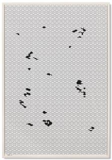 Carsten Nicolai - Modular re.strukt