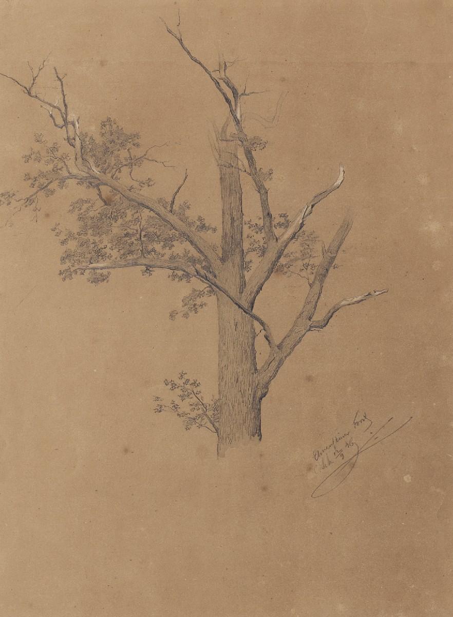 Caspar Johann Nepomuk Scheuren - Baumstudie