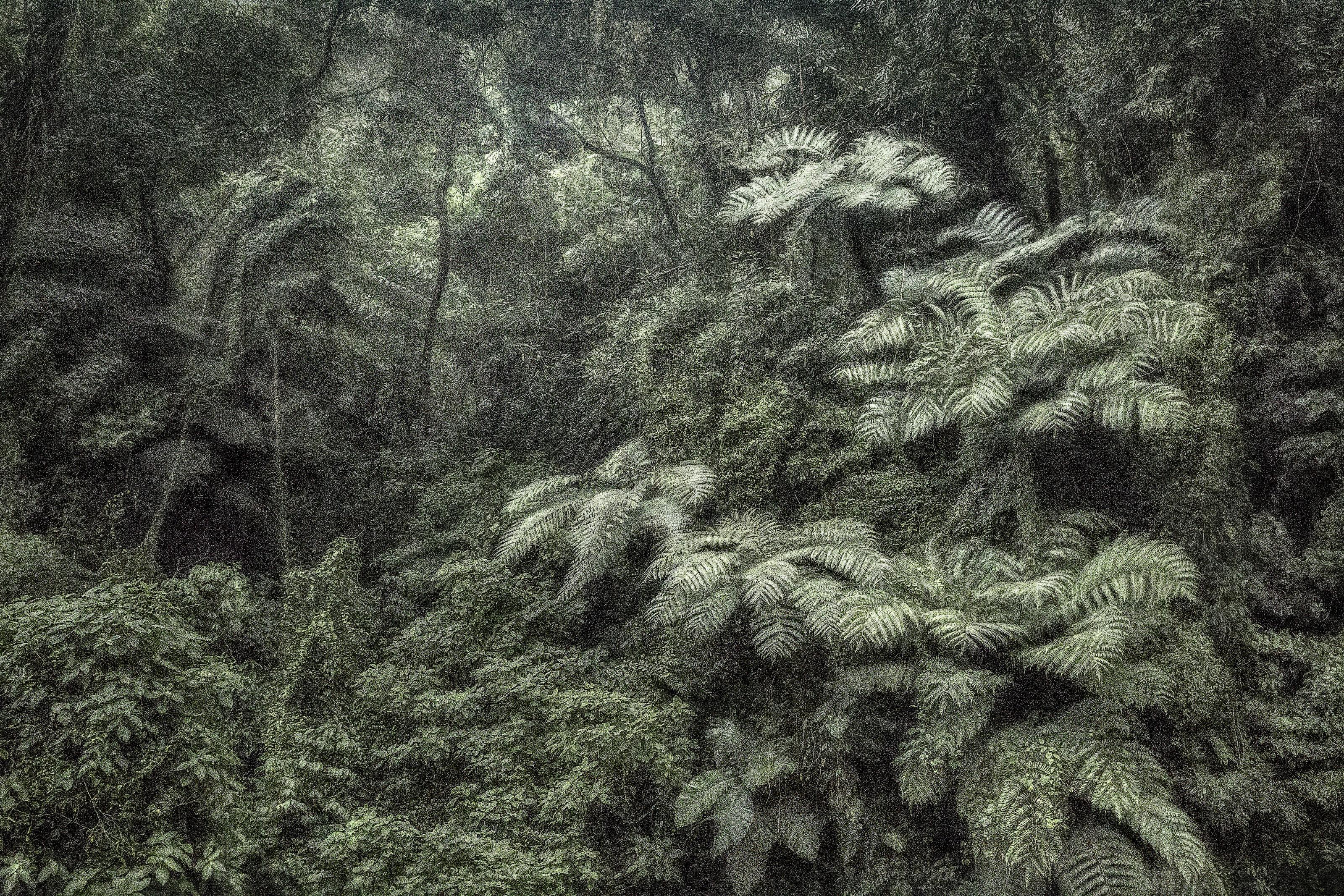 Cássio Campos Vasconcellos - A Picturesque Voyage Through Brazil #144, 2017