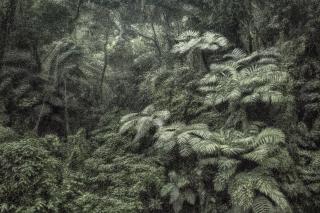 Cássio Campos Vasconcellos - A Picturesque Voyage Through Brazil #144, 2017