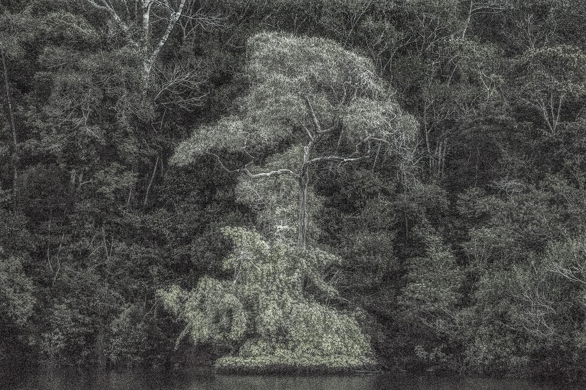 Cássio Campos Vasconcellos - A Picturesque Voyage Through Brazil # 21, 2015