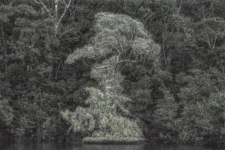 Cássio Campos Vasconcellos - A Picturesque Voyage Through Brazil # 21, 2015