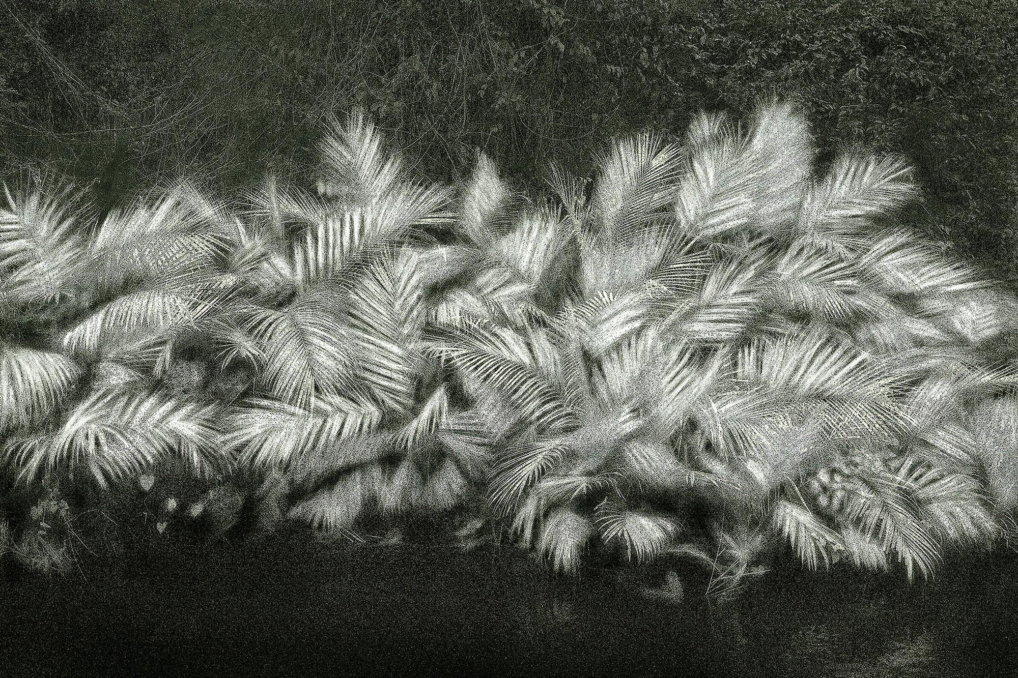 Cássio Campos Vasconcellos - A Picturesque Voyage Through Brazil # 30, 2015