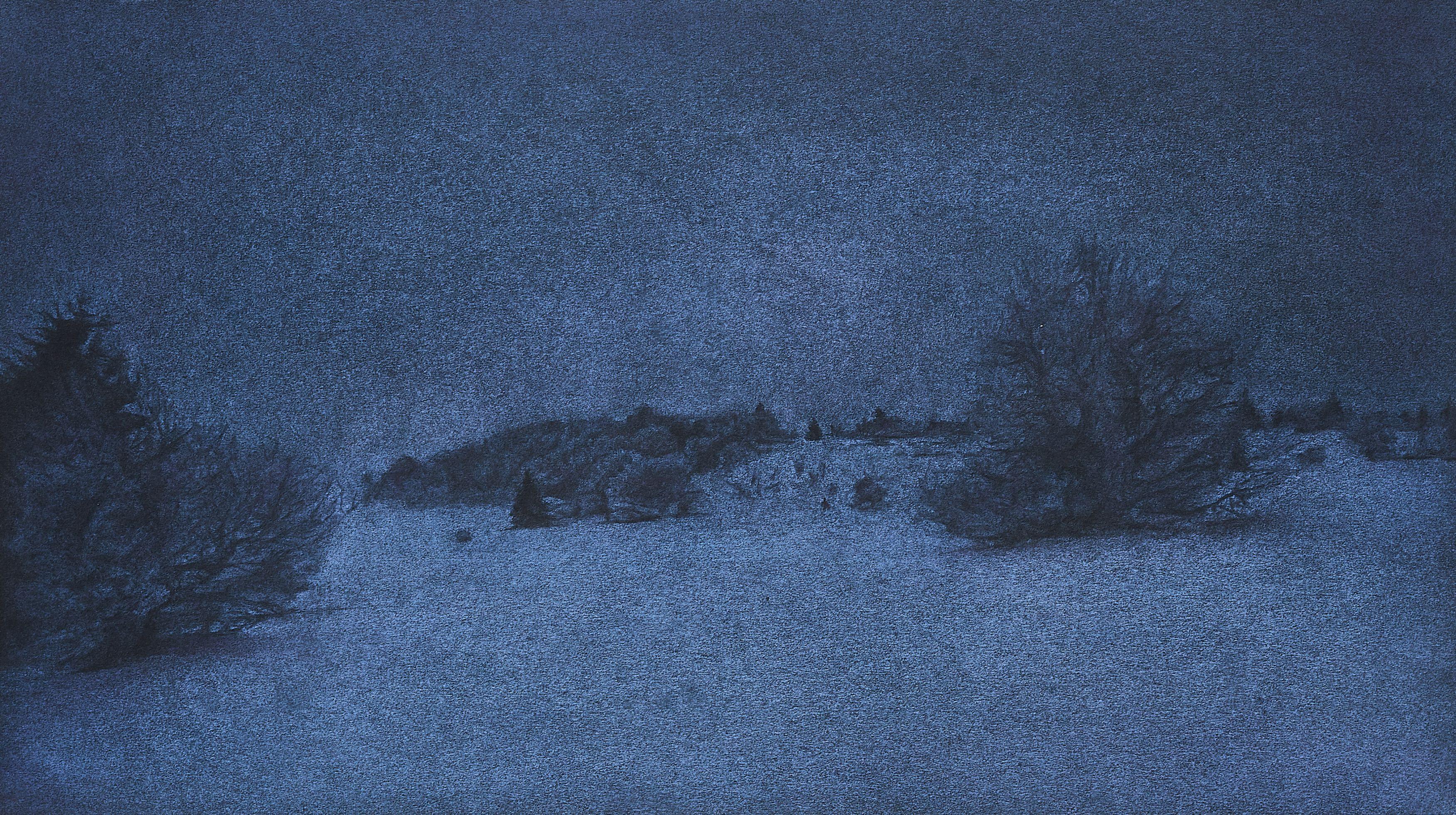 Catalina Pabón - Landschaft.