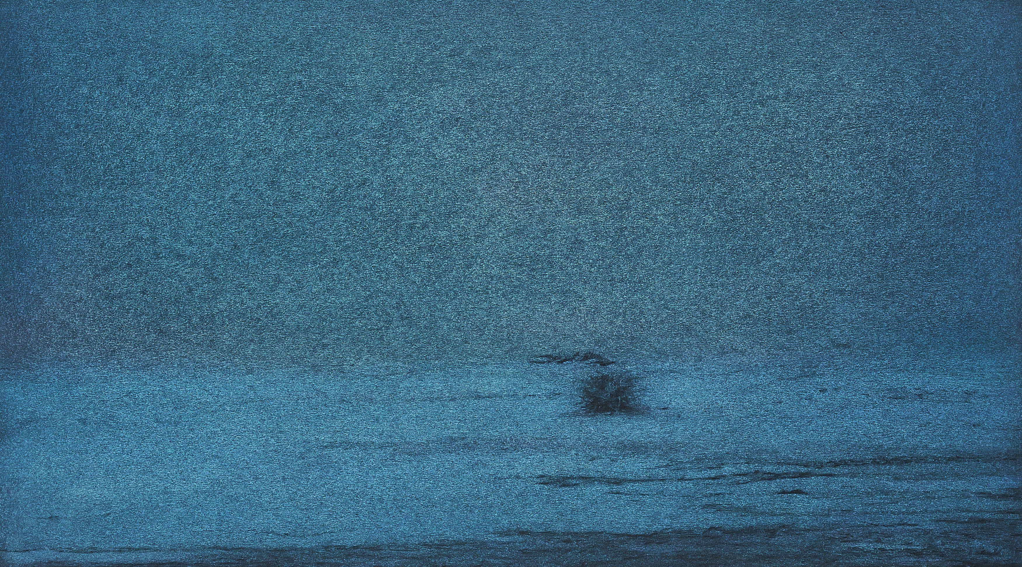 Catalina Pabón - Landschaft.